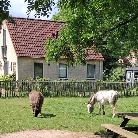 Vakantiehuis Heerlijke Recreatiewoning Op Geweldige Plek *