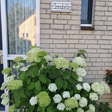 Heerlijke Recreatiewoning Op Geweldige Plek Holiday home *
