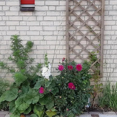 Heerlijke Recreatiewoning Op Geweldige Plek * Ewijk
